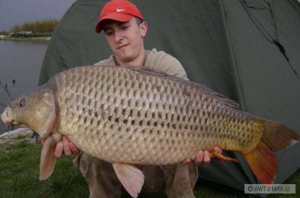 ..jar 2008..