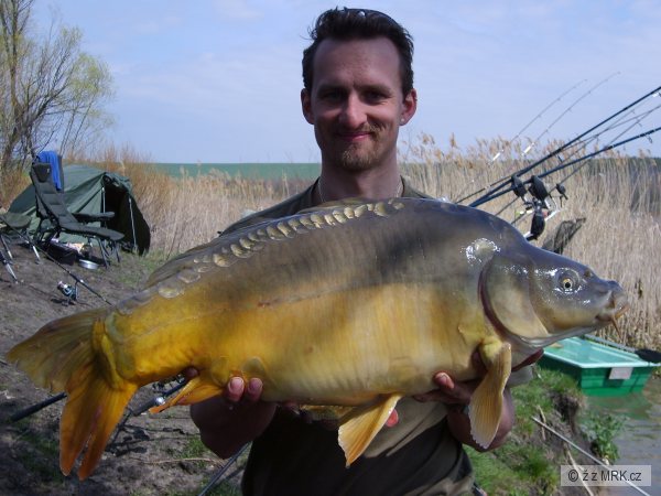 Palotas madarsko 12.5kg
