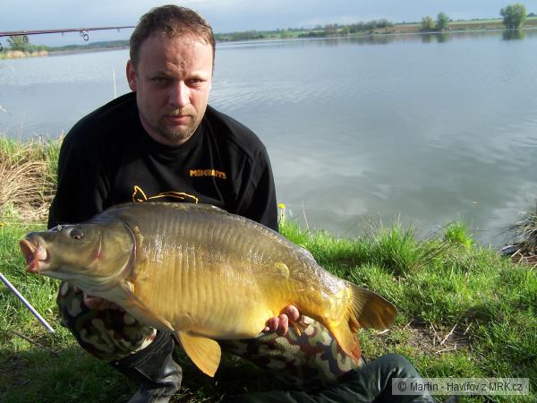 Lysec 10,5kg