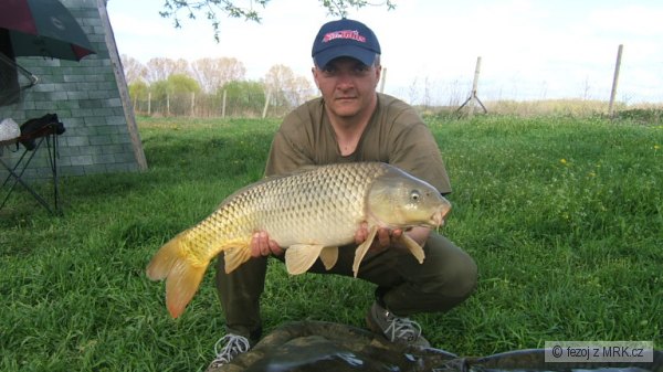 kapor obecn� 83 cm - 10,20 kg