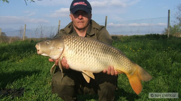 kapor obecn� 88 cm - 10,85 kg