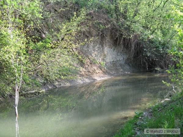 pstruhovka �.1