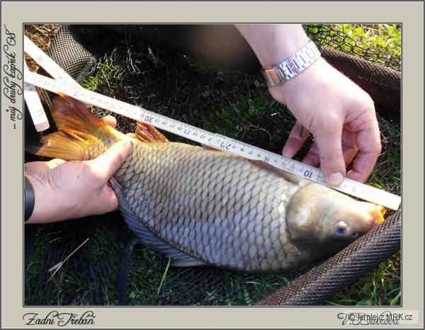 Zadn� T�eb�� 27.4.2008