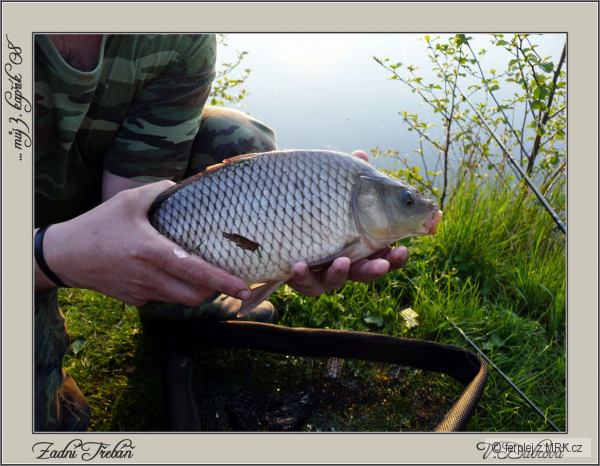 Zadn� T�eb�� 27.4.2008