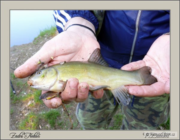 Zadn� T�eb�� 27.4.2008