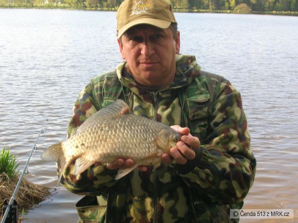 Karas 43cm - 1,75kg