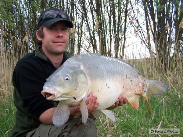 De�n� 8,5 kg - 67cm