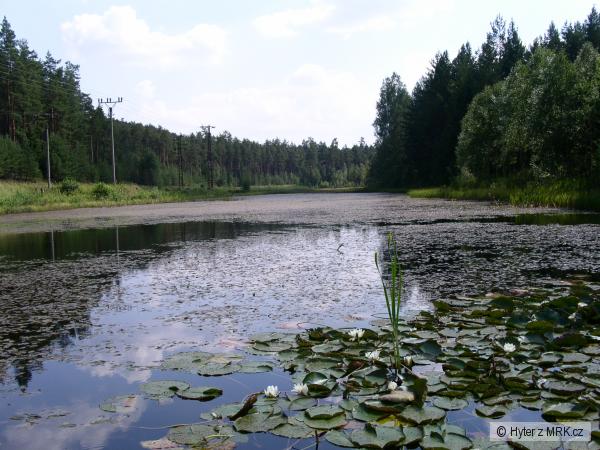 Cerny rybnik