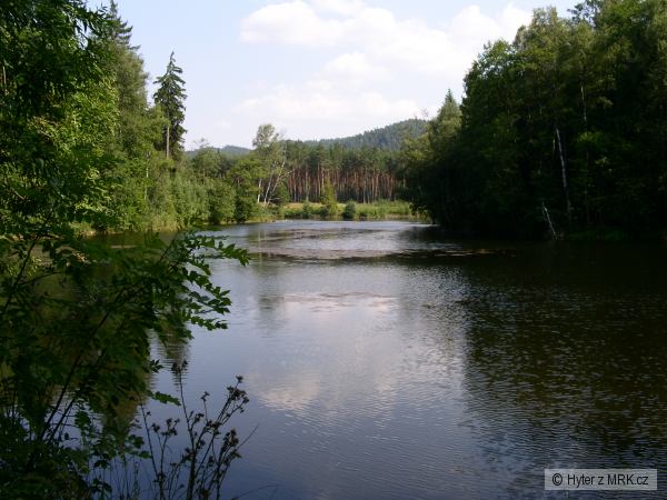 Devinsky rybnik