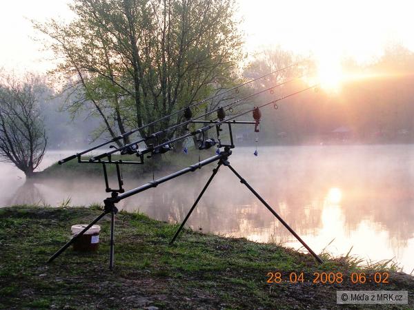 Koblov 2008