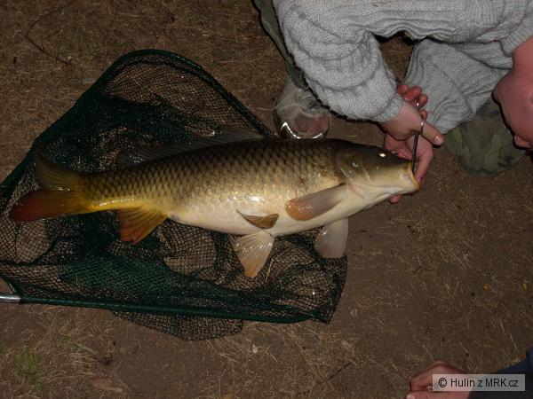Kap��k z Hv�zdova 72cm