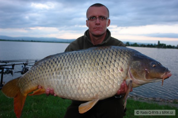 Adacs, m�j 2008 Rado