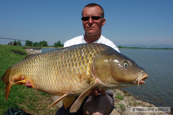 Adacs, m�j 2008 Rado