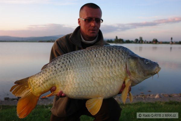 Adacs, m�j 2008 Rado