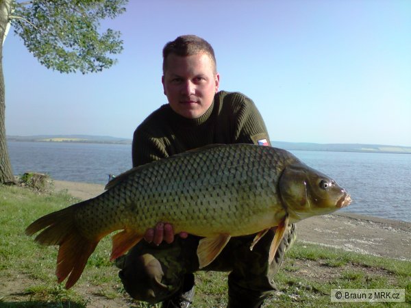 Mu�ov 2008 - Dyje 5