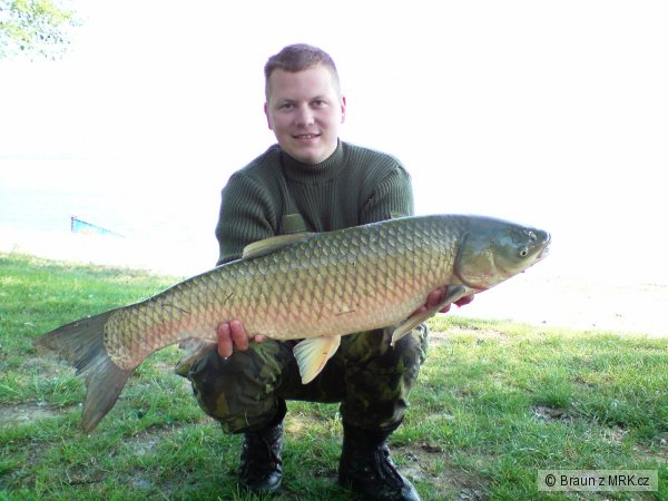 Mu�ov 2008 - Dyje 5