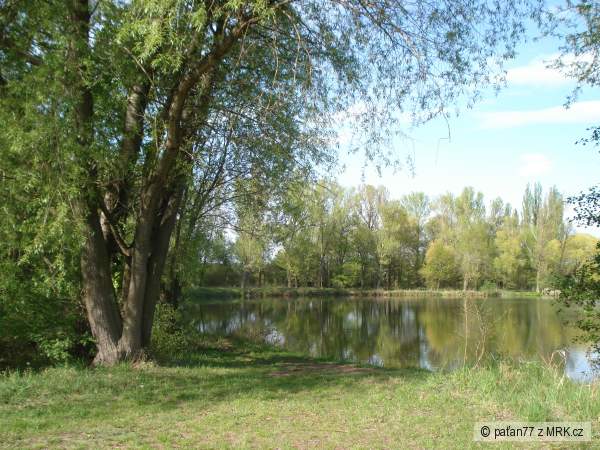 411 118 LABE 24 E - Jezero Ostrov (2,5 ha)