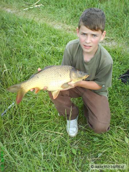 Kaprik