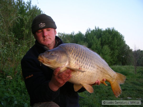 Tova�ov 2008