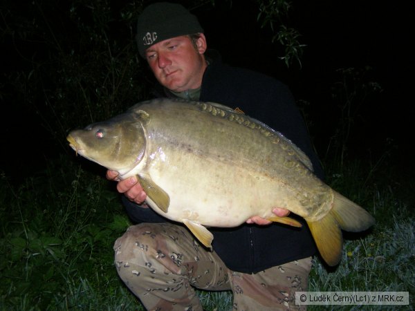 Tova�ov 2008