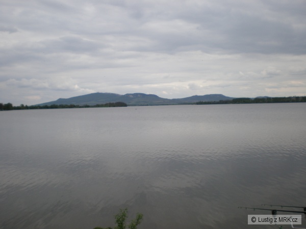 palava