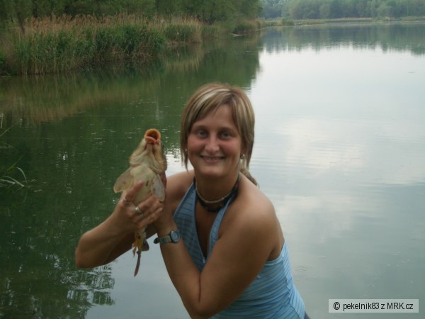 lys��ek a Martinka