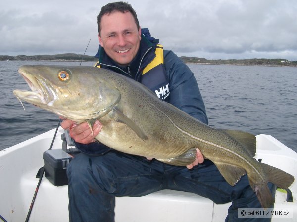 Hitra Norway a treska obecn�,hovadsk�