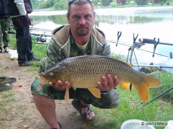 Posledn� kapr z Luha�ovic