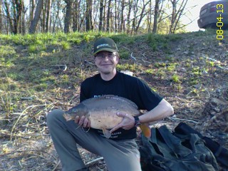 Labe,Kapra lysec 70cm