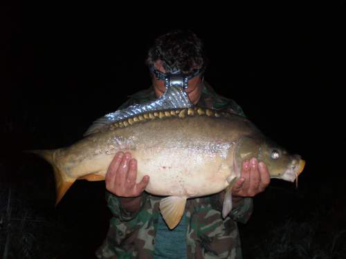 kapr 75 cm 9 kg