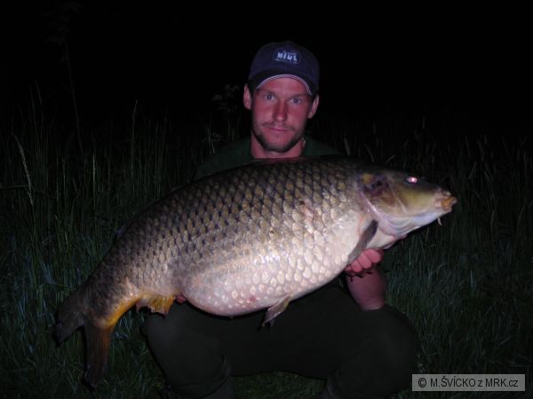 labe 15,70 kg