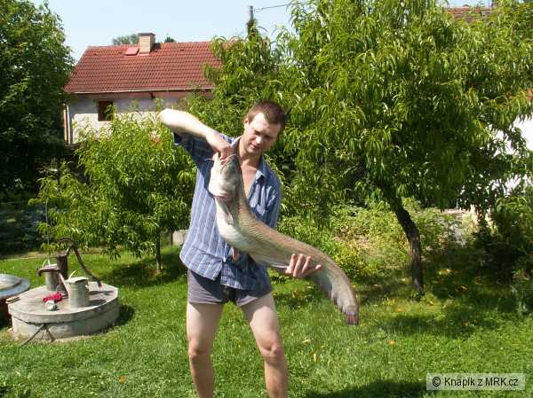 Sum�� 112cm