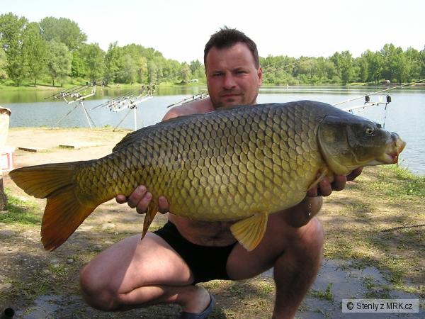 koblov 2008