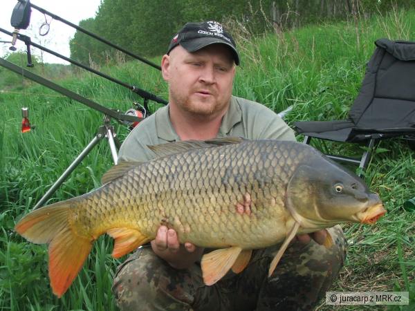 9,5kg