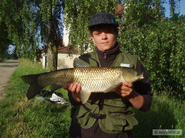 Amur
