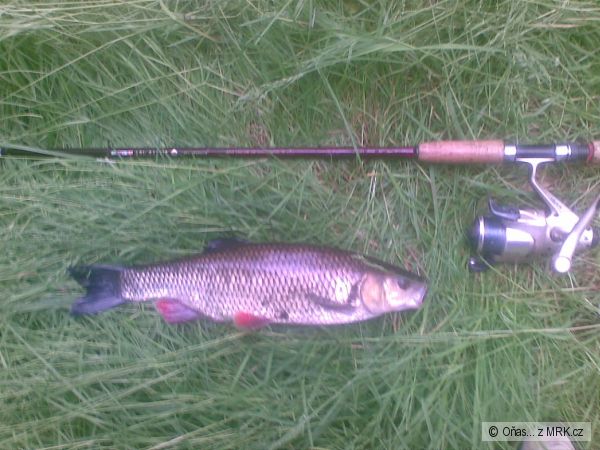 Tlou�� na rohl�k