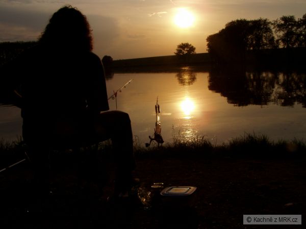 Pon�tovice - kv�ten 2008