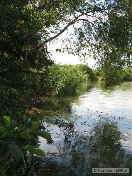 prekrasna zatoka
