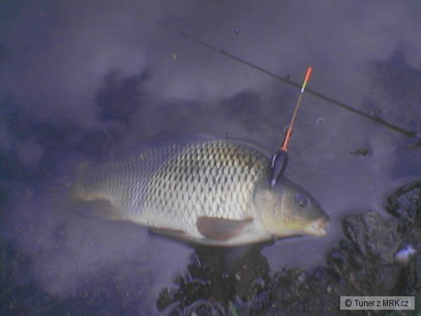 Kap��k (foceno mobilem)