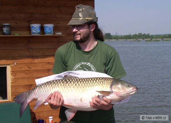 amur 105 