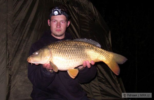 kapr 63cm
