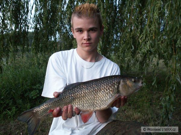 Tlou�� 54cm