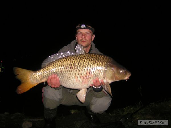 Kaprik 10,80