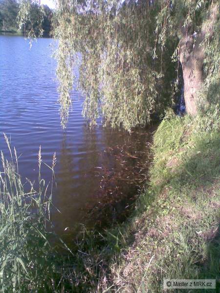Moje m�sto v �eplic�ch