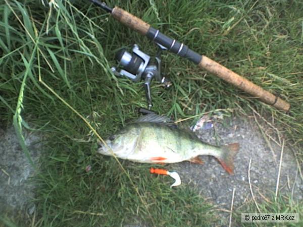 ostriez 38cm