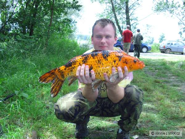 z�vody 2008 Skalky