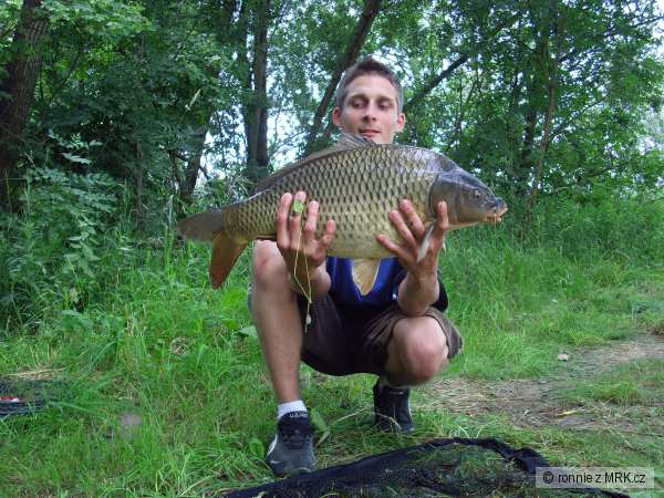 z�vody 2008 Skalky