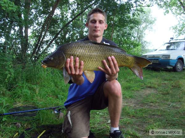 z�vody 2008 Skalky