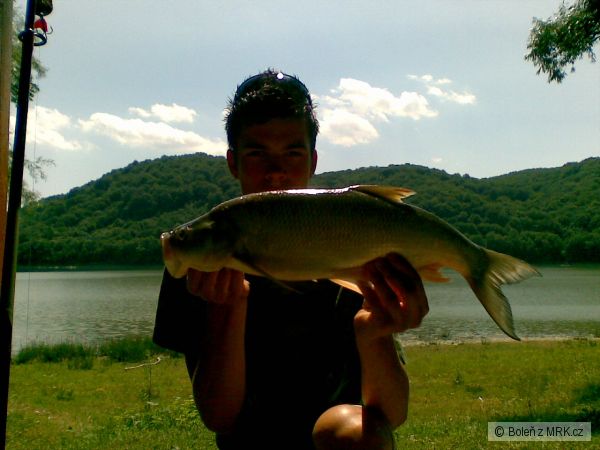 zasa 53cm 