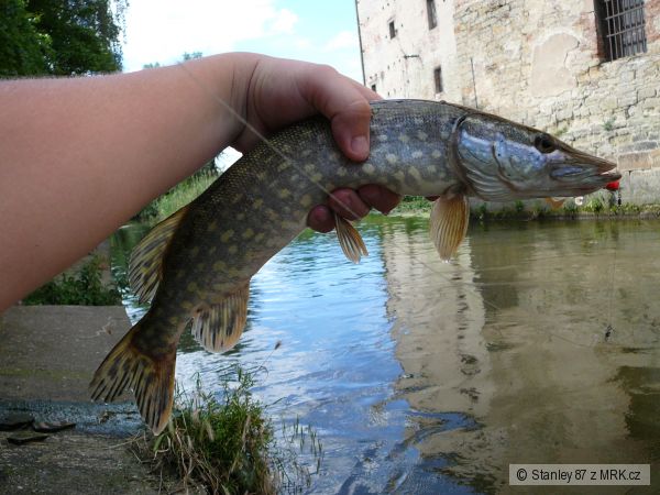 �tika na twistera